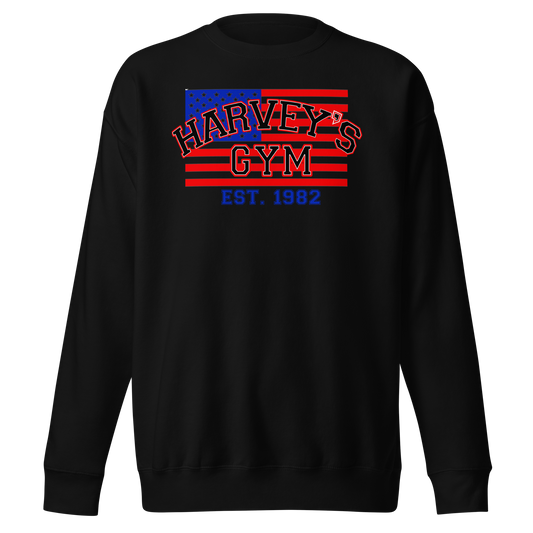American Flag Sweatshirt